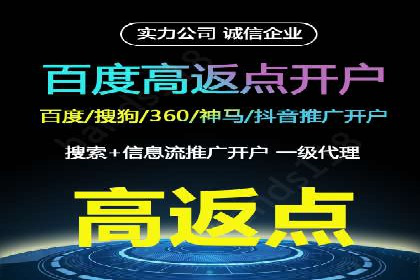 案例分析：竞价推广实战中的困境与突破